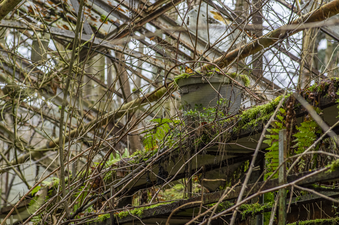 abandoned green houses @arcadia-revisited.de ©christina denz